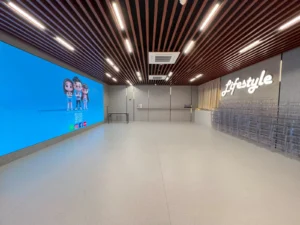 Ark Fiesta training venue 300x225
