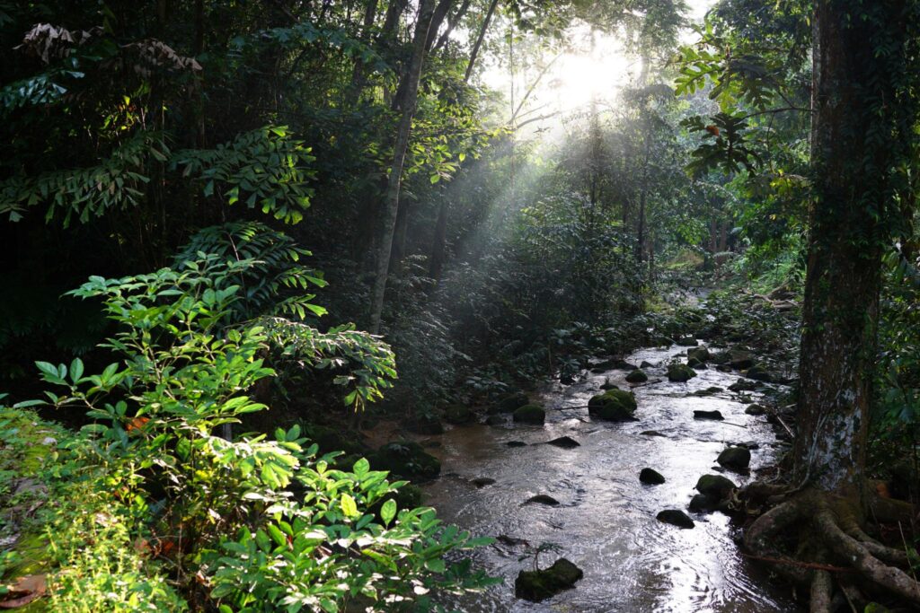 Kelumpung Resort Training Centre 1024x683